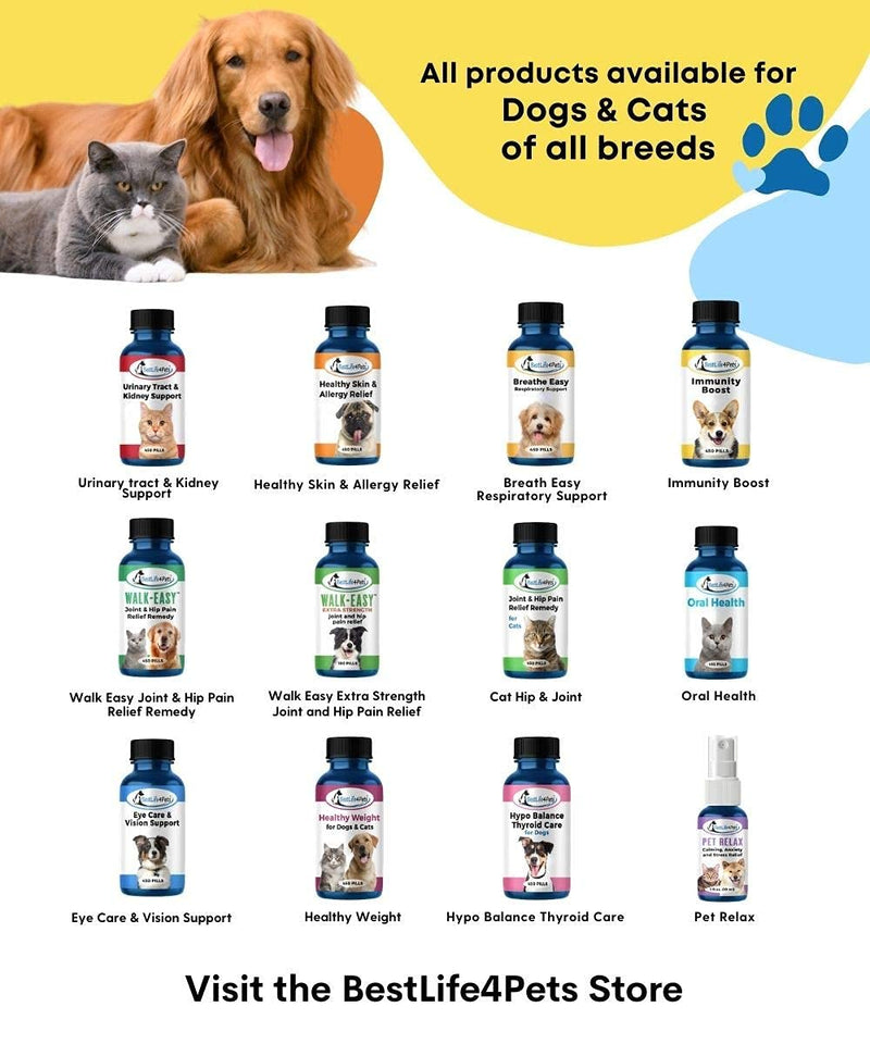 BestLife4Pets Oral Health for Cats and Dental Care Supplement – All Natural Anti-inflammatory Pain Relief for Stomatitis Gingivitis and Gum Disease - Easy to Use 1-Pack - PawsPlanet Australia