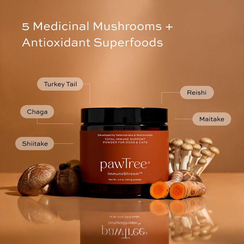 pawTree ImmunoShroom™ Immune System Support Supplement for Dogs & Cats – 5 Medicinal Mushrooms, Colostrum, Turmeric & Antioxidants – Supports Vitality & Cellular Health – Vet-Developed