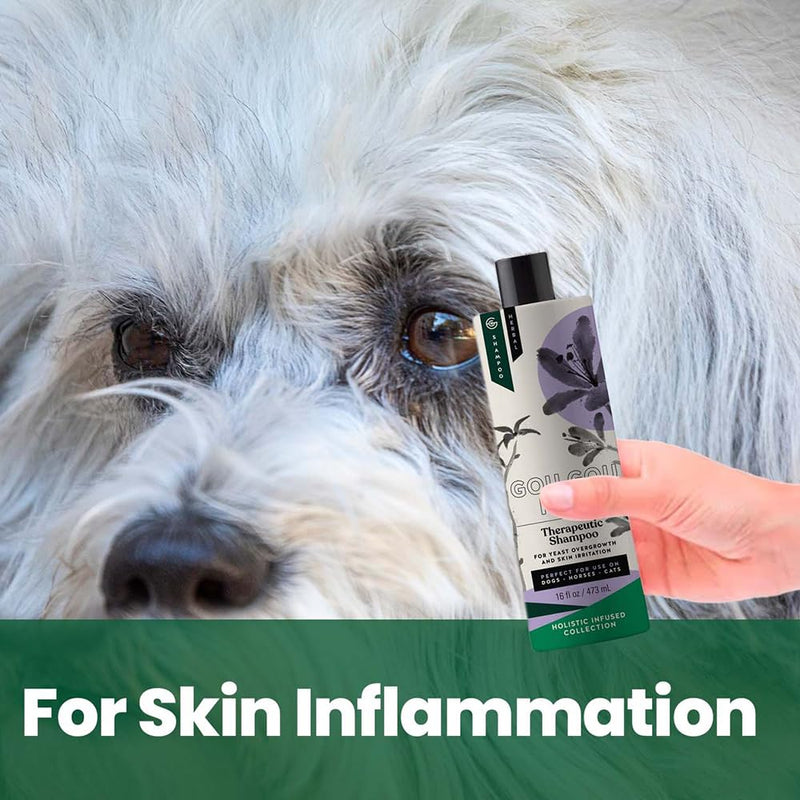Holistic Natural Anti-Fungal Shampoo for Dogs, Cats & Horses: Veterinarian Recommended: Relieve Itching & Flaking Skin Caused by Fungal Infections & Skin Conditions - Made in USA - 16 oz Anti-Fungal Citrus Fruity - PawsPlanet Australia