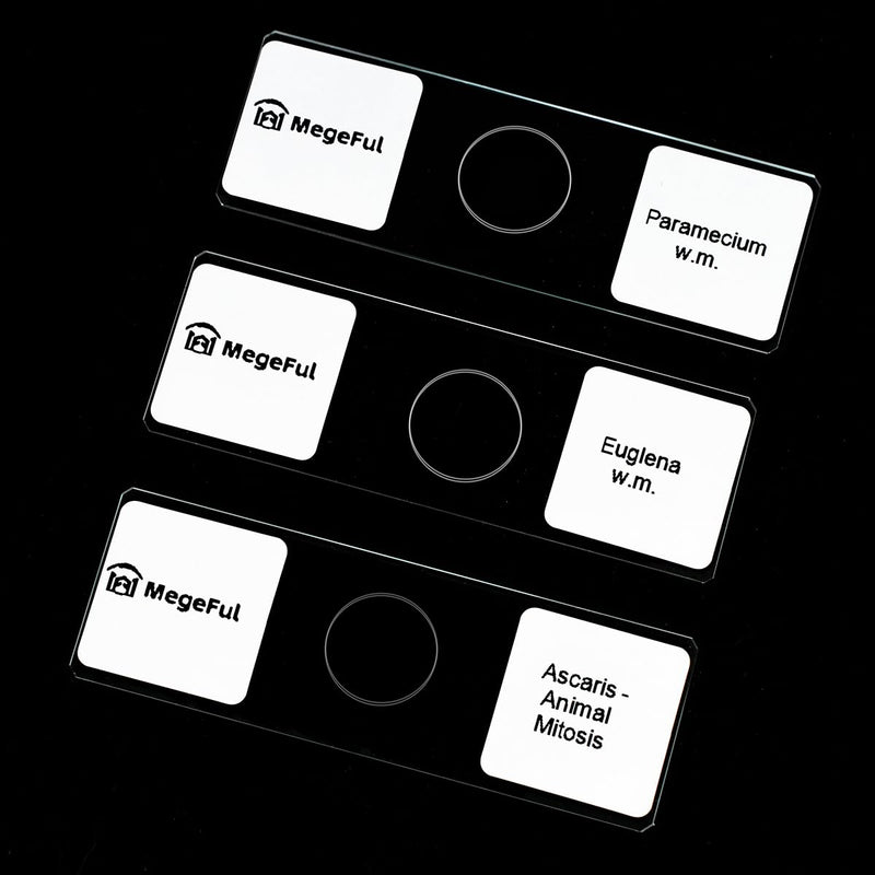 Prepared Microscope Slides for Apologia Biology Series, 16PCS Microscope Slides Set Includes Various Types Samples for Biology Course