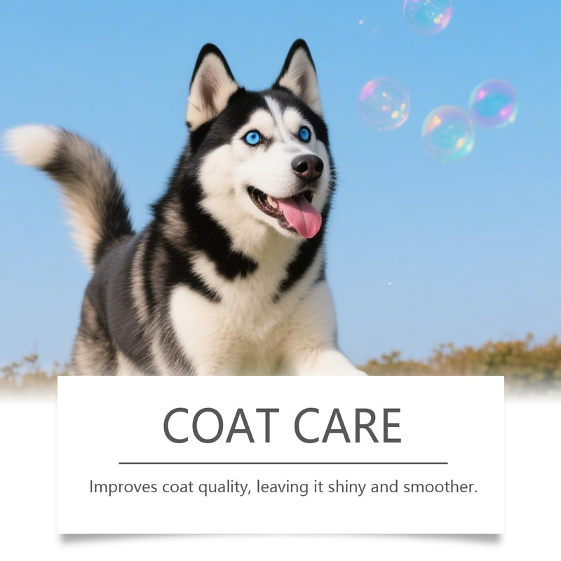Bloom Collagen for Dogs, Bloom Triple Collagen for Dogs, Gentle Formula, Supports Skin and Coat, Joint Comfort, 60ml (2pcs) 2pcs