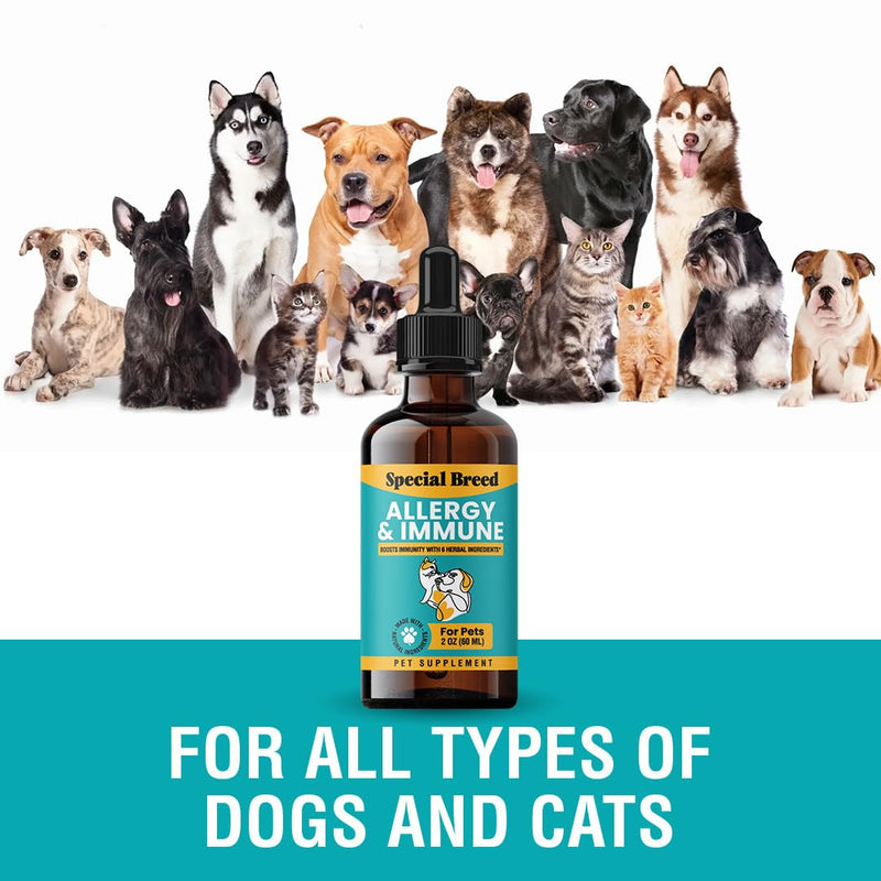 Allergy & Immune with Elderberry, Allergy Relief for Cats and Dogs, Anti Itch Treatment, Relief for Pet Allergies, Immune Support for Cat or Dog, 2 oz 1 Count (Pack of 1) - PawsPlanet Australia