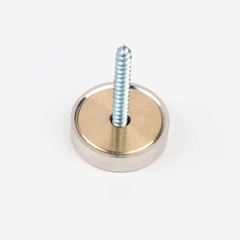 Mirror Screws,Brass Cap Decorative Mirror Nails,1",Satin Nickle,4 Pack Circle:1"