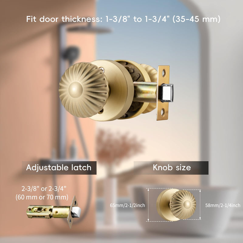 Gold Interior Door Knobs, Non Locking Door Knob Door Handles for Hall & Closet, Passage Seashell Knobs