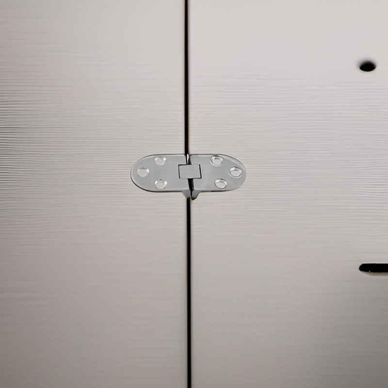 RANYUSSMarine Grade CAST Solid 316 SS Mirror Polished Door Hinges Stainless Steel 66MM x 29MM(2.6in*1.2in) Pair for Boat, RVs 4PACKS