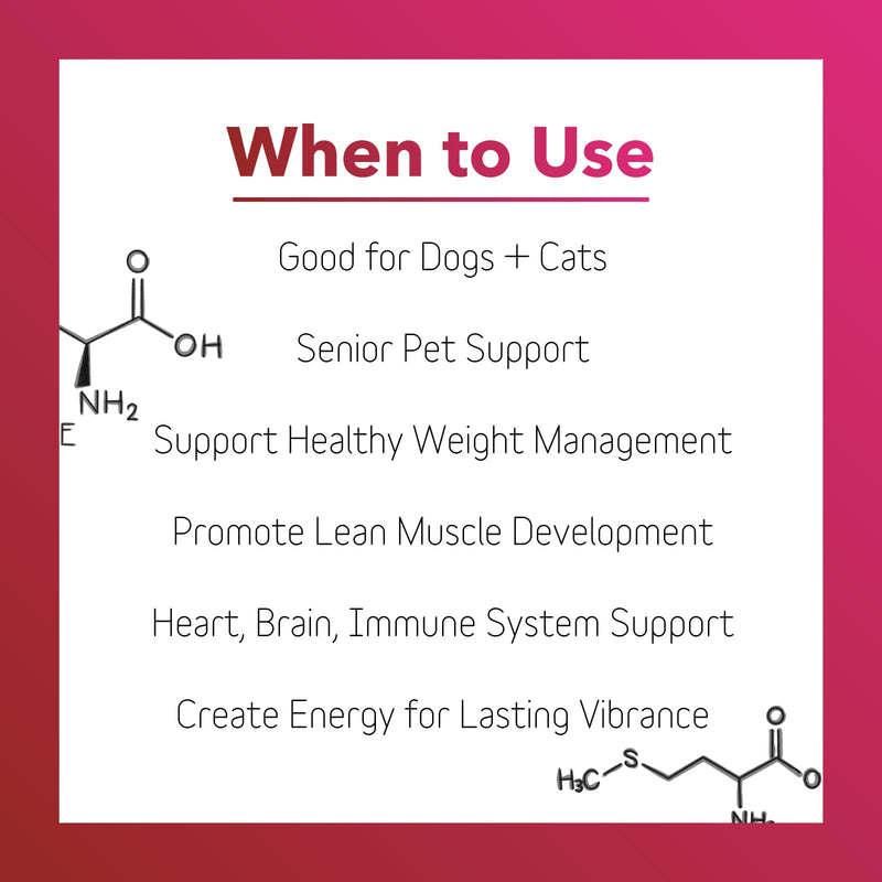 InClover, Dog Heart Health Supplement BioVibrant, Helps Support Dog Heart Health, Dog Supplement Treat Powder with Taurine Helps Pet Heart Health and Dog Weight Management, Dog Immune Support - PawsPlanet Australia