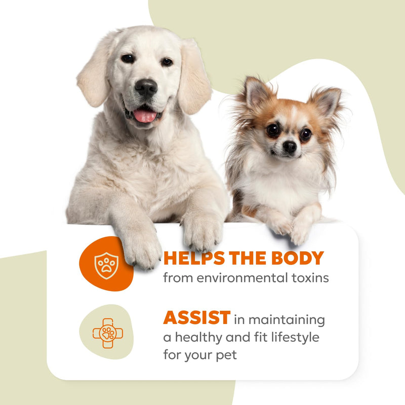 Canine Multi Soft Chews | Chewable Supplements for Dogs, Dog Supplement, Glucosamine, Chondroitin & Multivitamins | 60 Chews (180g, 6.35 oz.) - PawsPlanet Australia