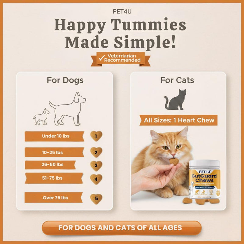 PET4U® Pre (FOS) & Probiotics for Dogs and Cats - Supports Healthy Digestion, Regular Bowel Movements - Anti Diarrhea & Constipation Relief - 120 Heart Chews, Beef Flavor