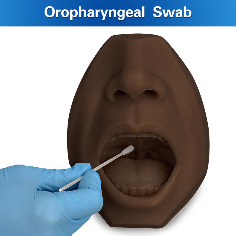 SimCoach Nasal Swab, Throat Swab Test Training Model, Swab Collection Simulator, Saliva Oral Swab, Acupuncture, Puncture Practice Model (Black) black