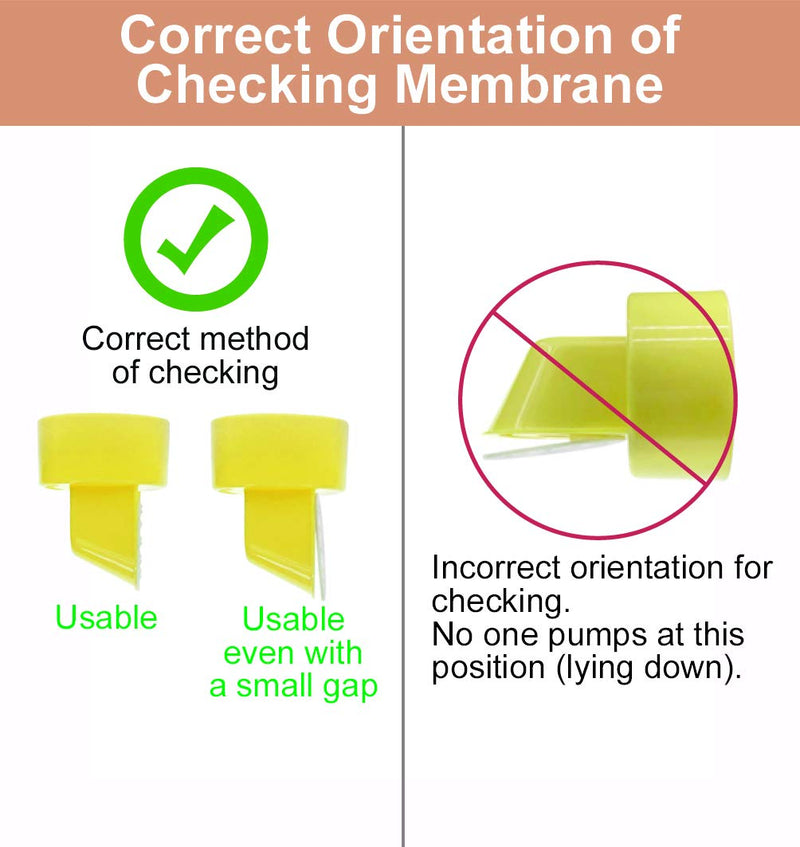 Pump in Style Tubing (Two Tubes), 2 Valves and 2 Membranes for Medela Pump in Style Advanced Breast Pump Released After Jul 2006. Replace Medela Tubing, Medela Membrane, and Medela Valve 6 Piece Set