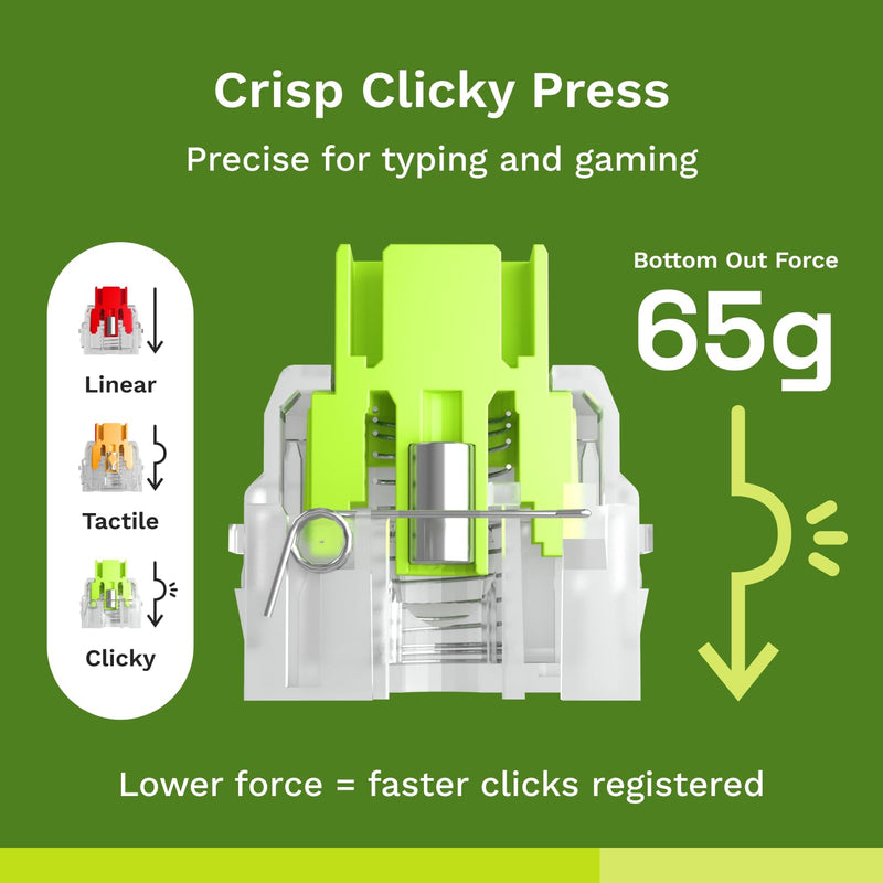 Glorious Raptor Clicky Hall-Effect Magnetic Switches (36-Pack), Transparent Housing, Pre-Lubed Click Bar, HE Hot-Swap Compatible, RGB-Optimized Raptor (Clicky) Standard