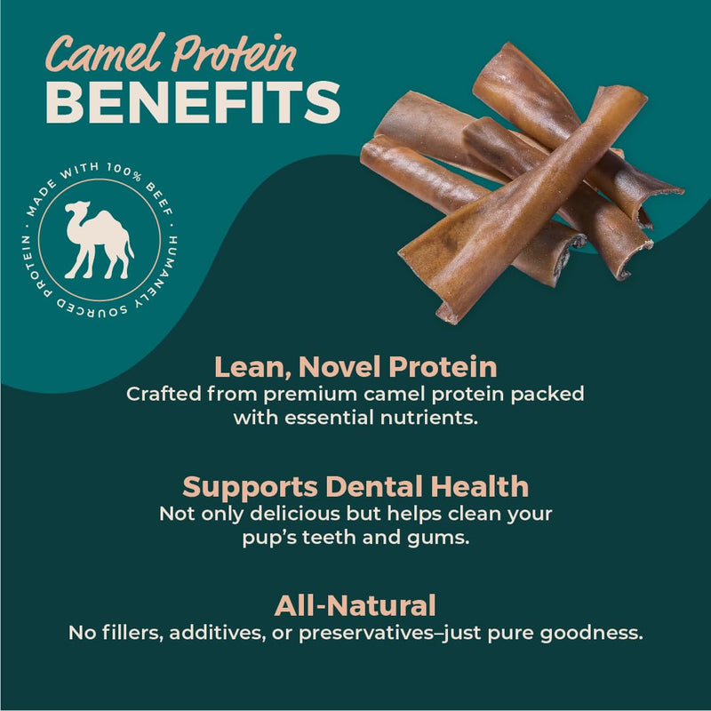 Camel Skin Dog Chews for Aggressive Chewers, Long Lasting Camel Sticks for Dogs, Natural Dog Treats, High Protein Collagen Sticks, Dental Chews for Medium & Large Dogs, Dog Training Treats, 25 Pack