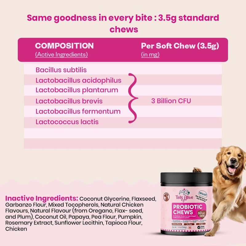 Probiotic Soft Chews Supplement for Dogs | Six Probiotic Strains for Gut Health & Digestion | Chicken Flavor | Supports Immune Function | 60 Soft Chews