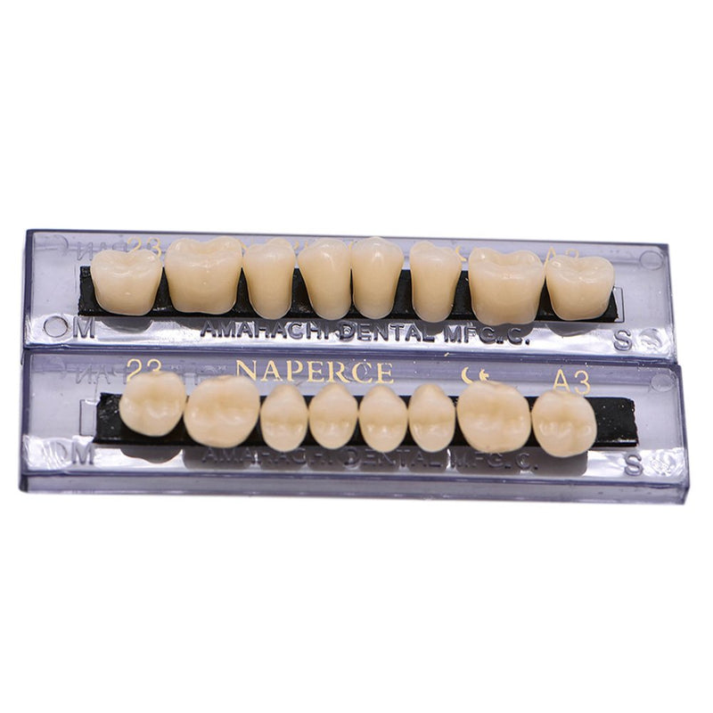 Angzhili Dental Synthetic Acrylic Resin False Teeth for Halloween Horror Teeth Denture Teeth Sets Shade A3 Upper And Lower Acrylic Teeth Sets(168pcs)