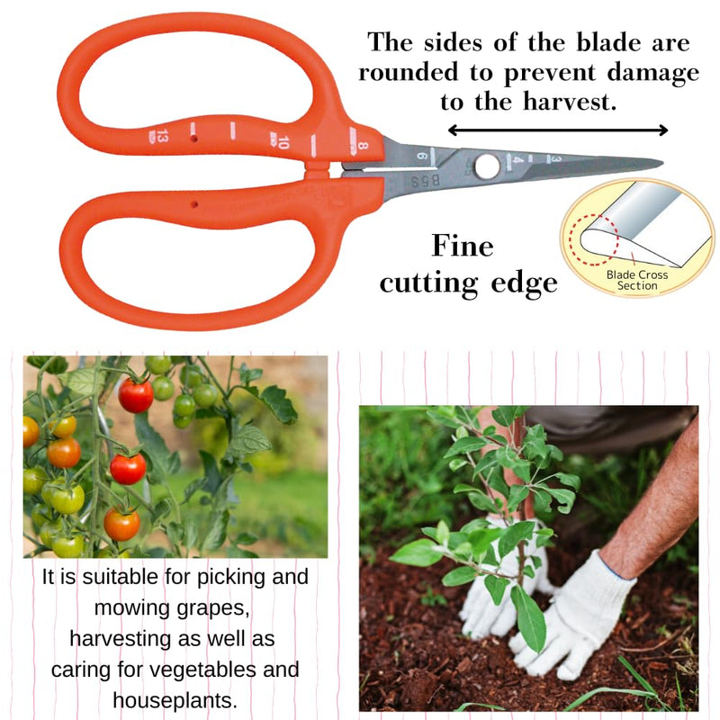 CHIKAMASA B-500SF Japanese Gardening Shears (2-Pack) with a Bonus Microfiber Cleaning Cloth - Fluorine Coated Stainless Steel Precision Trimmers for Grapes, Herbs, and Bonsai