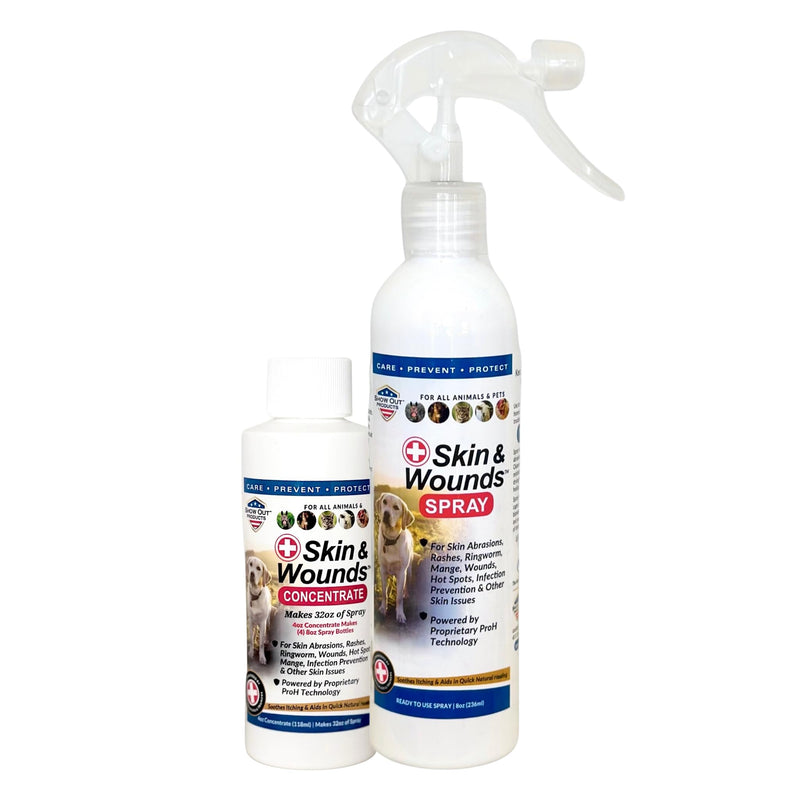 Show Out Skin & Wound Spray for Dogs & Cat - Remedy for Dog Hot Spot, Cleans and Repairs skin, Wound Care, Relief for Hot Spots, Skin Allergies, Dry, Itching Skin (Makes 32 oz of Solution for Pet)