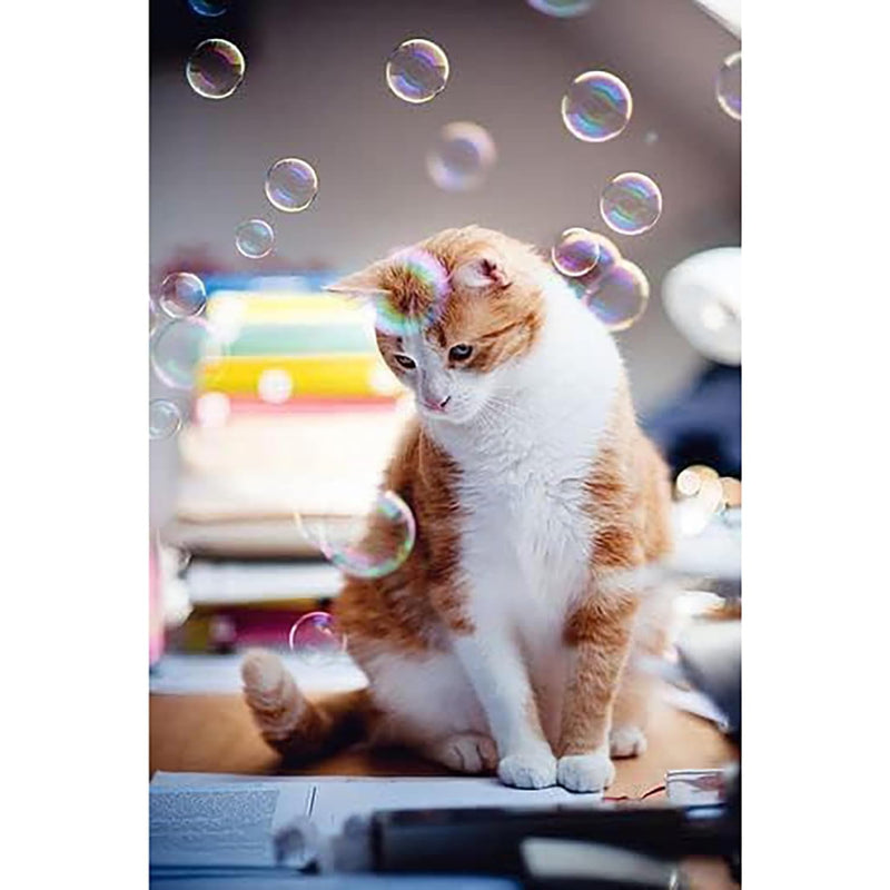 Atomic Bubbles Kitty Love Calming Bubbles, 2 Pack, 4oz Bottles | Relieve Cat Anxiety & Stress, Pet Safe, Non-Toxic Formula, Sensory Bubble Play