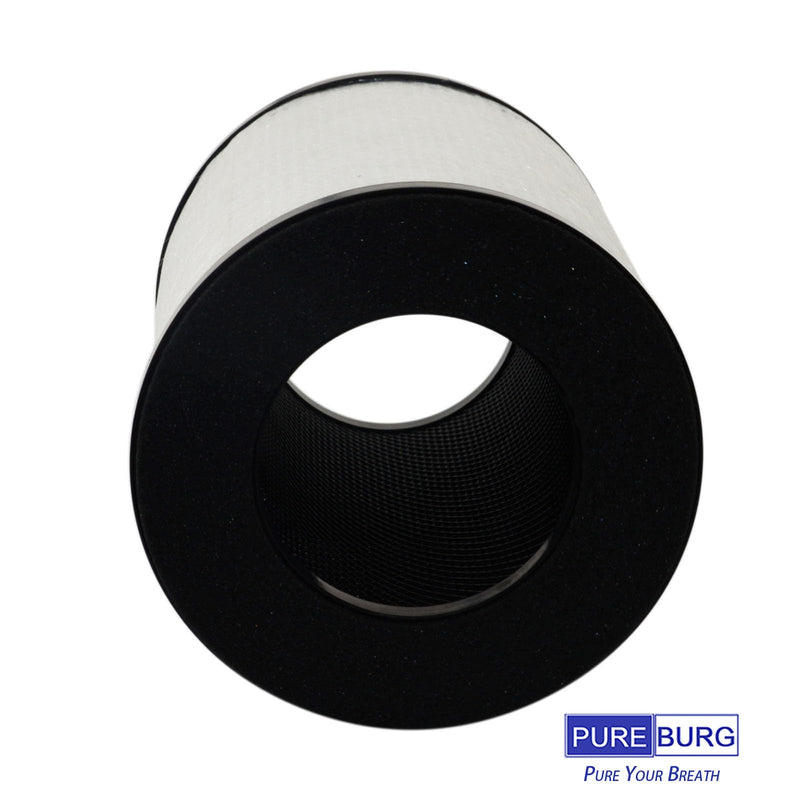 PUREBURG Replacement Filter Compatible with Tredy TD-1300, Tenergy Renair, Cool-Living CL-6070A, BEABA HEPA Air Purifer, H13 HEPA Activated Carbon 2-in-1 2-Pack