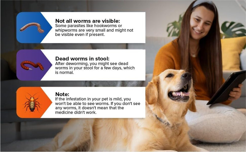 No More Tapeworms in Cats and Dogs- Dewormer for Cats and Dewormer for Dogs - Vanilla Flavour with 3ml Dropper (120ml Vanilla) 120ml Vanilla