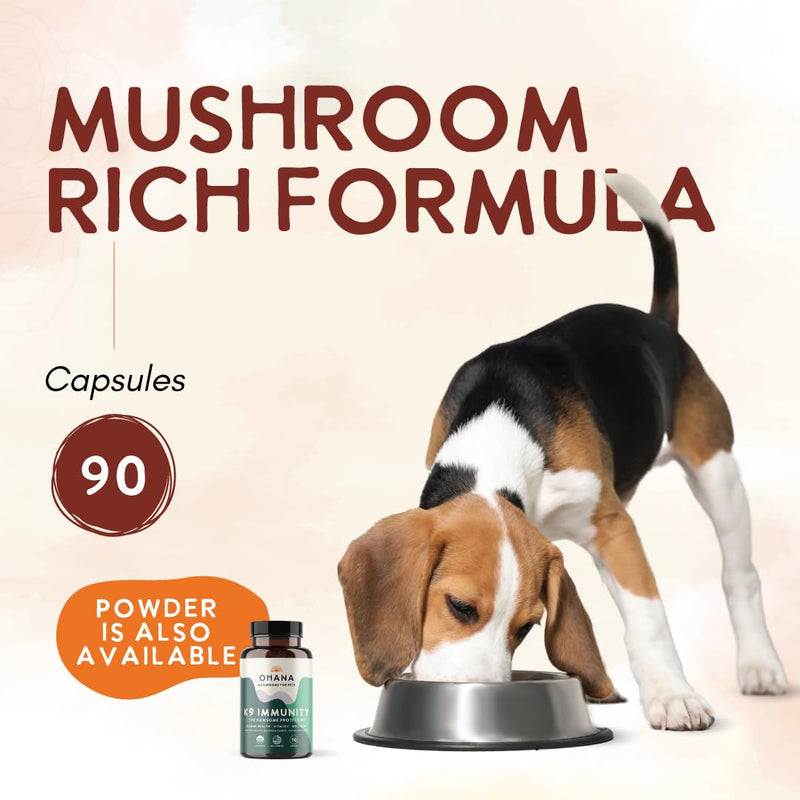 Ohana K9 Immunity, Dog Supplements, Contains 6 USDA Organic Mushroom Extracts for Dog Care, Non-GMO, Gluten-Free, 90-Capsule Bottle, Pack of 1 K9 Immunity Capsules 90 Count (Pack of 1)