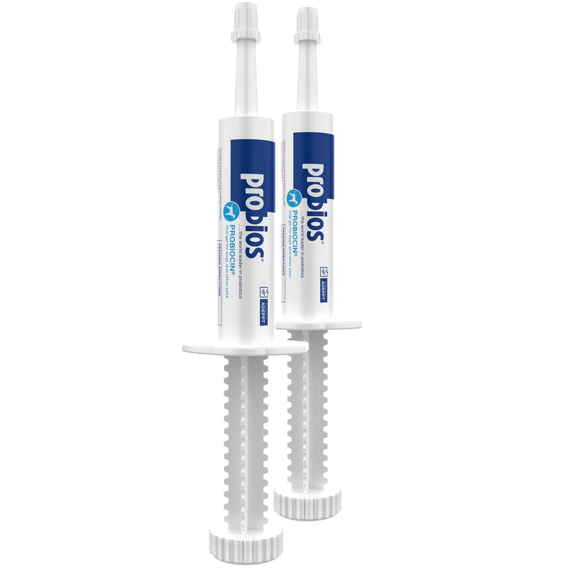 Probios Probiocin Oral Probiotic Gel for Dogs and Cats, Digestive and Immune Support Supplement, Easy Syringe Administration, Suitable for Newborns to Senior Pets, 15g Tube (Pack of 2) 15 g (Pack of 2)