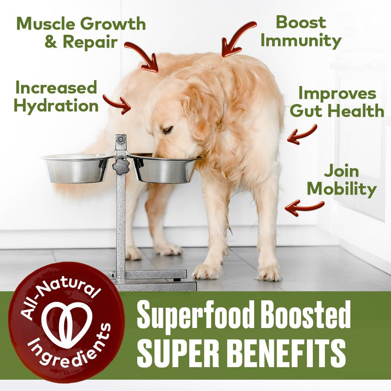 Mobility Support Beef Bone Broth for Dogs | Hip & Joint Support for Dogs | Glucosamine & Amino Acid Boosted | Human Grade Ingredients | Just add Water | Made in USA, 16 oz Beef Mobility Support 16 Fl Oz - PawsPlanet Australia