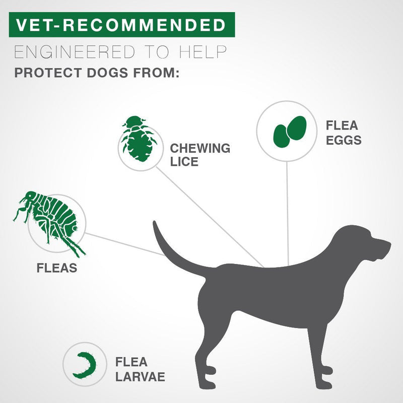 Advantage II 4-Dose Flea Treatment for Small Dogs, Flea Treatment for Small Dogs 3-10 Pounds - PawsPlanet Australia