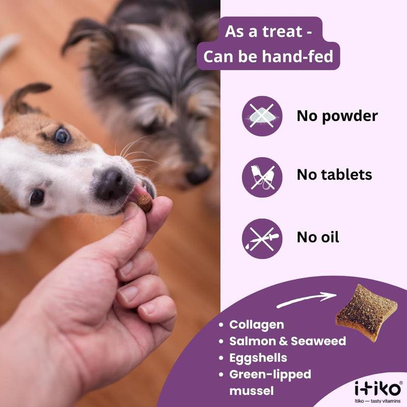 Glucosamine Dog Supplements, Bone and Joint Supplement for Dogs with Green-Lipped Mussel, MSM, Chondroitin & Omega-3 | 100-120 PCS of Chews for All Breeds Size
