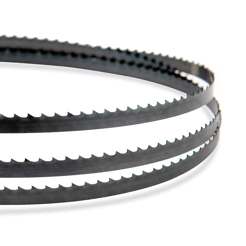 POWERTEC 56-1/8 Inch Bandsaw Blades, 1/4" x 6 TPI Band Saw Blades for Delta 28-180, 28-185, Pro-Tech and Ohio Forge 3-Wheel 10" Band Saw for Woodworking, 2 Pack (13162-P2) 1/4" x 6 TPI, 2 PK