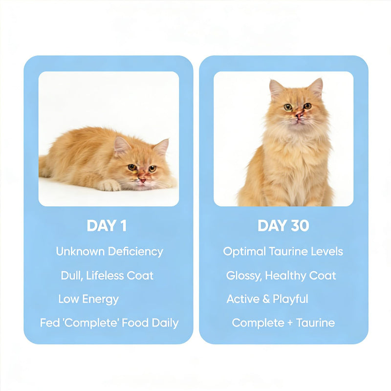 Taurine Supplement for Cats,Taurine Powder for Cats,Pure Taurine Supports for Heart, Vision & Daily Wellness,Easy to Mix in Food,200g