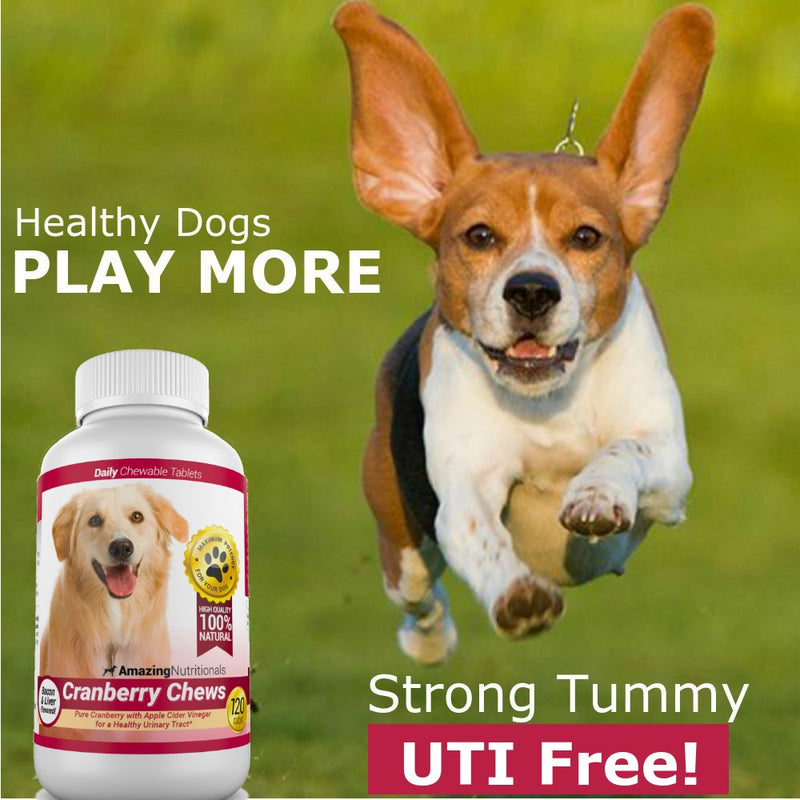 Amazing Cranberry for Dogs Pet Antioxidant, Urinary Tract Support Prevents and Eliminates UTI in Dogs, 120 Chews 1 Bottle - PawsPlanet Australia