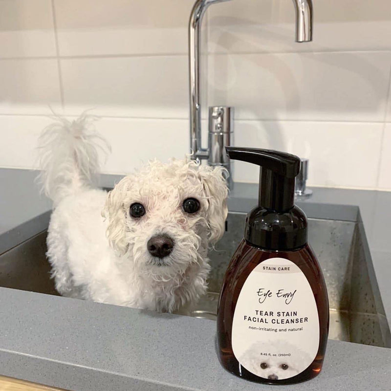 Eye Envy Tear Stain Facial Cleanser for Dogs and Cats | Washes Away Crusty Eye Debris, Eye Boogers and Eye Discharge | Tearless Foaming Formula | Treats The Cause of Staining | 100% Natural 8.45 Fl Oz (Pack of 1) - PawsPlanet Australia