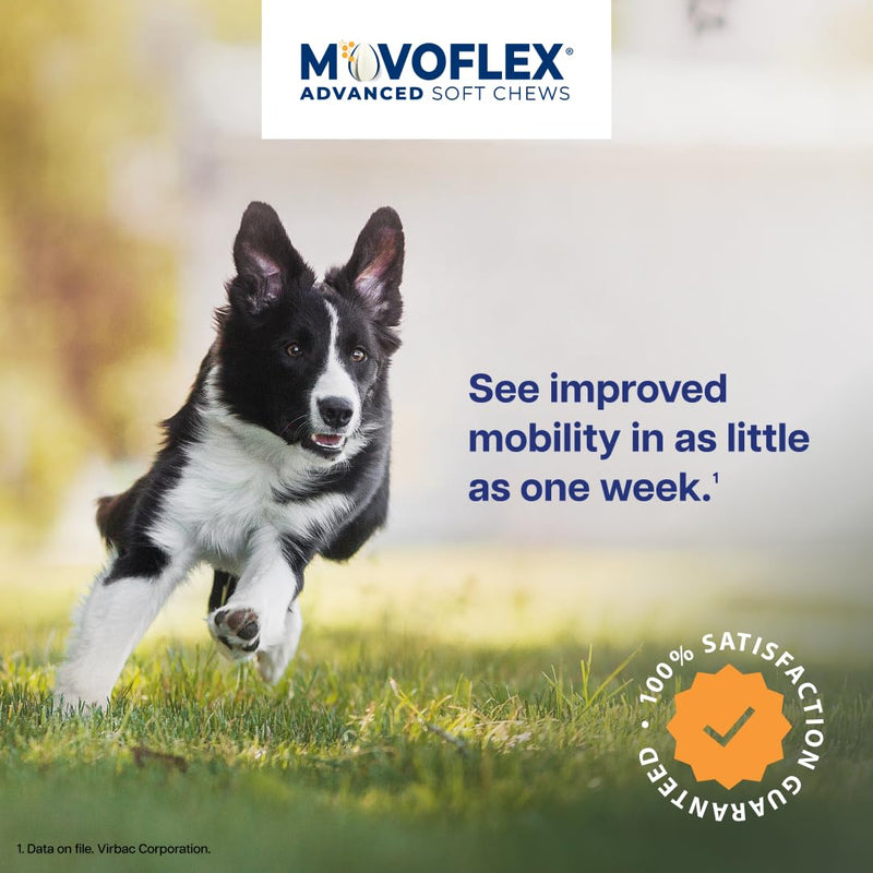 MOVOFLEX Advanced Soft Chews Hip and Joint Support Supplement for Small Dogs - 60 Count by Virbac Small Dog 1 Pack (60 count)
