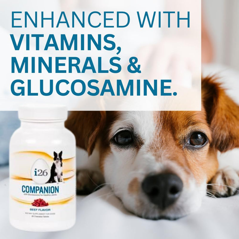 Chewable Dog Nutrition Companion i26 Puppies to Adults - 60 Beef Tabs - PawsPlanet Australia