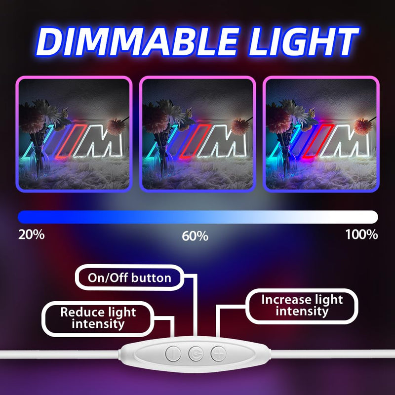 Car Neon Sign Dimmable LED Light for Garage, Bedroom, Playroom, Car Repair Shop, Wall Decor, 15.7x5.9 Inch