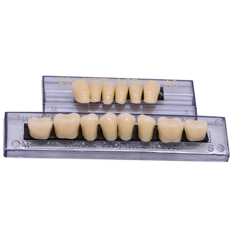 Angzhili Dental Synthetic Acrylic Resin False Teeth for Halloween Horror Teeth Denture Teeth Sets Shade A3 Upper And Lower Acrylic Teeth Sets(168pcs)