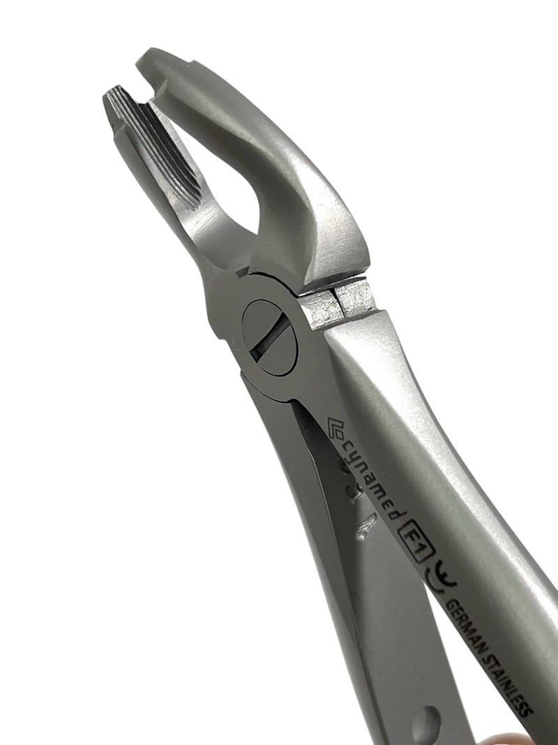 Dental Extracting Extraction Serrated Forceps F1, for Upper Anterior Region, Premium Quality Gold Handle, Stainless Steel