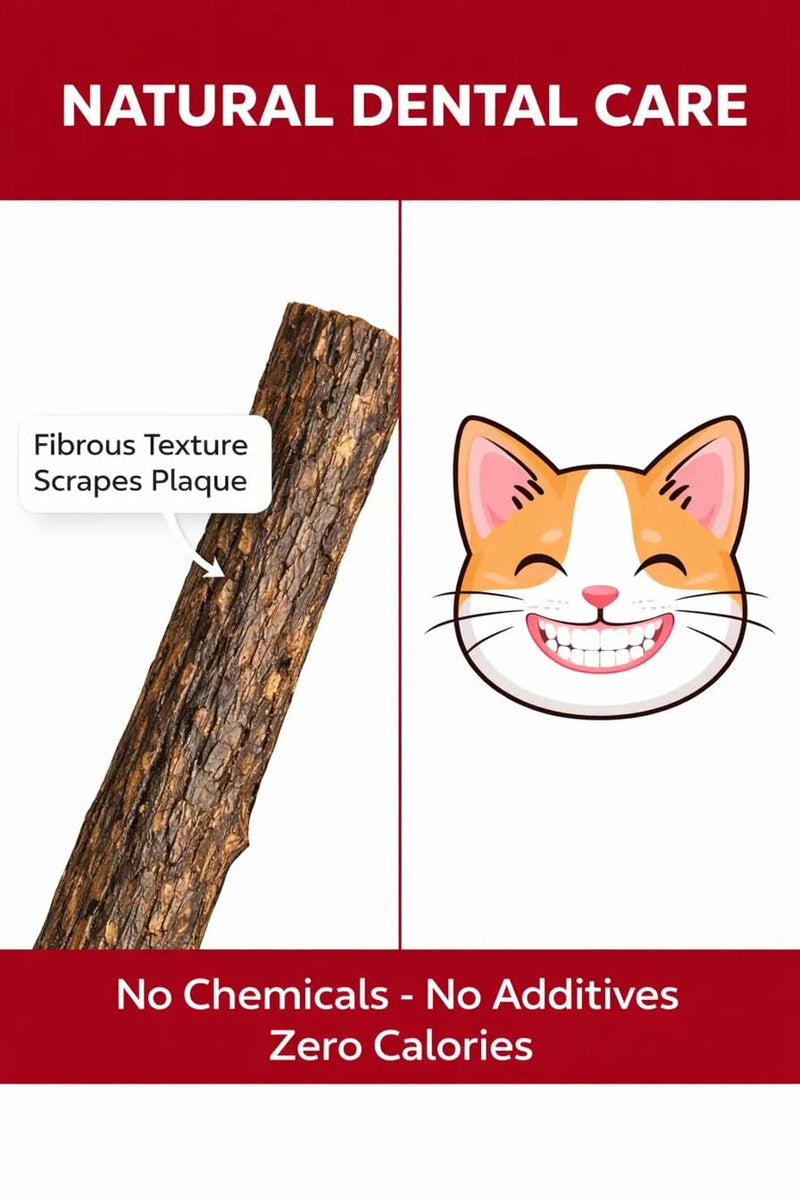 Cat Dental Teether Toy with Silvervine Chew Stick - Rubber Berry Holder with Catnip Oil Infused Matatabi Stick for Teeth Cleaning - Kitten Teething Toy for Indoor Cats (1 Teether + 1 Stick) 1 Rubber Berry Teether, 1 Silvervine Chew Stick