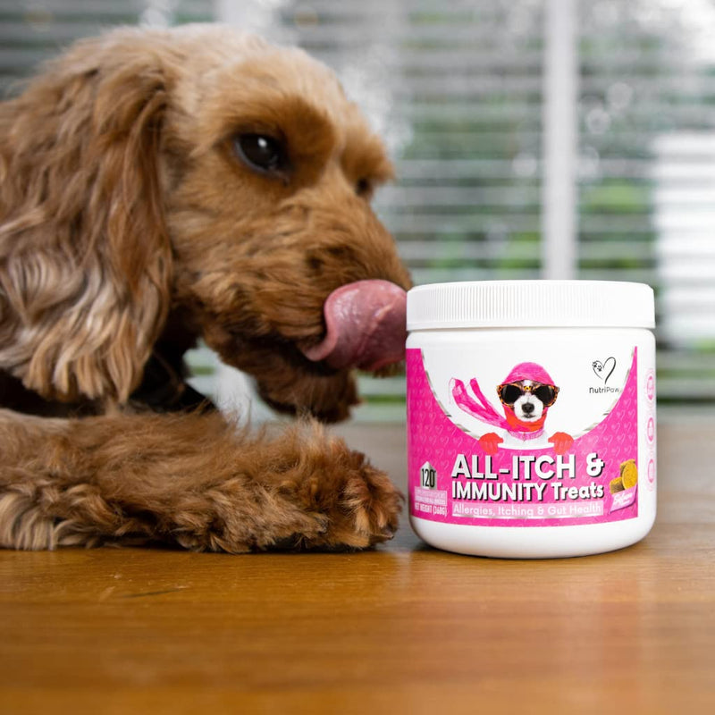 NutriPaw All-Itch Immunity Treats For Dogs - Soothe Itchy Paws, Eyes, Ears, Skin - Stop Itching, Licking, Scratching - Perfect for Small, Medium & Large Dogs - Supports Seasonal Itching - PawsPlanet Australia