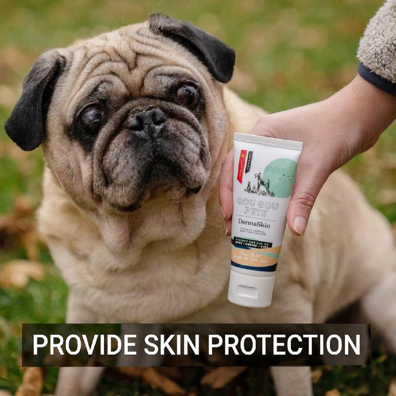DermaSkin Dermatitis Ointment Holistic Natural Derived Herbal Pet Care for Dogs, Cats and Horses: Relieves Rash, Crusting, Dry Skin, Skin Problems and Skin Conditions - Made in USA - 2 oz 2oz