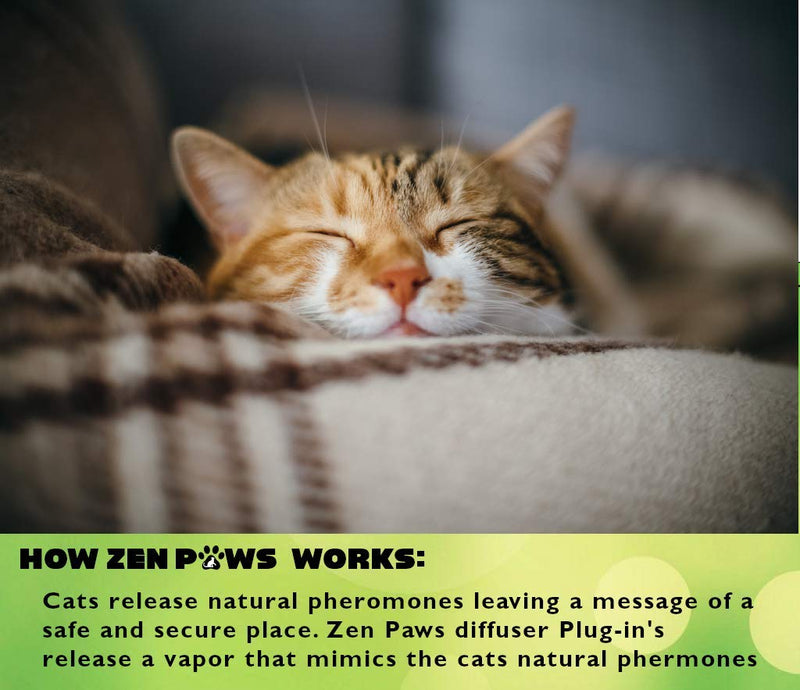 Zenpaws Kit - No Scent - 1 Diffuser + 5 Diffuser Cat Relaxant Refills + - Compatibility : Refills fit and are Compatible with All Major Brand diffusers. Comfort Zone, ThunderEase, Relaxivet and Others Difusser + 5 Bottles