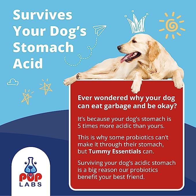 Tummy Essentials Probiotics for Dogs - Eliminate Digestive Dysfunction - Supports Gut Health - Dog Probiotics Support a Happy and Active Life - Made for All Dogs and in The USA, 30 Chews Bag - PawsPlanet Australia