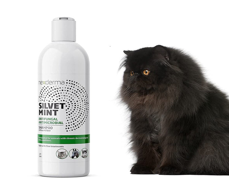 Natural Colloidal Medicated Pet Shampoo for Dogs and Cats - Tearless Hypoallergenic, Soap Free with Coconut Oil and Mint, Relief for Allergies, Odor, Itchy, Dry, Irritated Skin - 16oz, 1Pack - PawsPlanet Australia