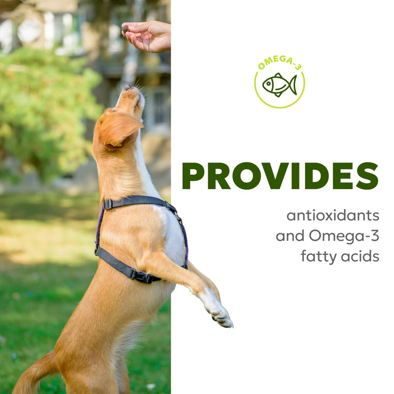 Canine Skin & Coat Soft Chews | Dog Vitamins and Supplements, with Fish Oil, Biotin, Vitamin A & D3, Promotes Skin Health, with Omega-3 Fatty Acids | 60 Chews (180 g, 6.35 oz.) - PawsPlanet Australia