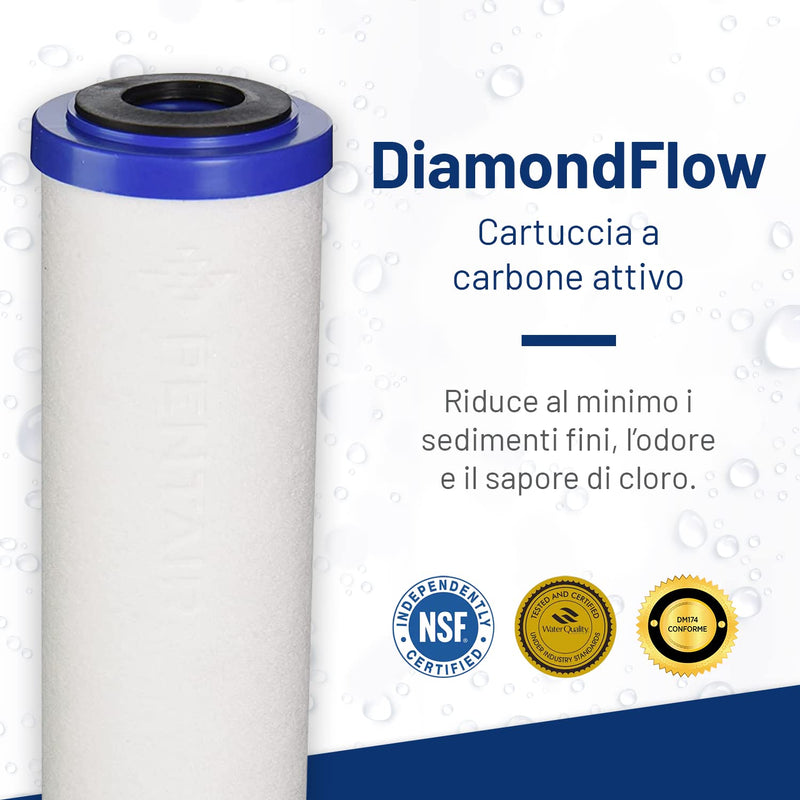 Pentek 655130-43 Sediment/Carbon Filter (Pack of 2) 2.5X9-3/4" (Pack of 2)