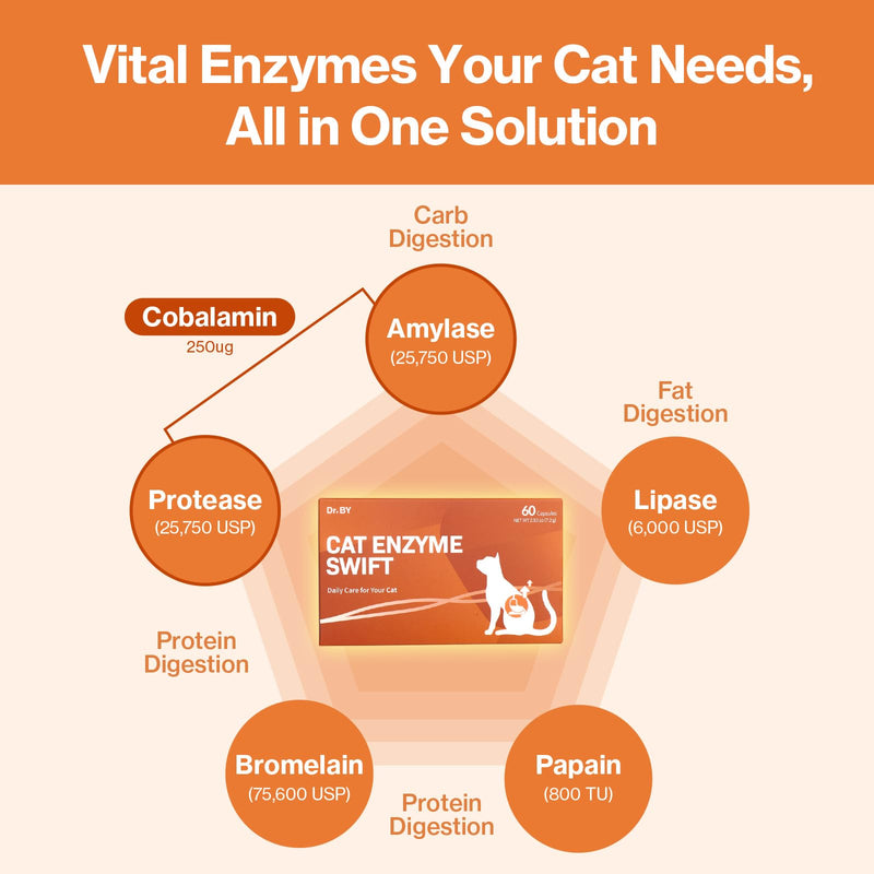 Doctor By Cat Enzyme Swift Cat Digestive Enzyme Supplement Vomiting Diarrhea, Loss of Appetite, Hairball with Pancreatine, Papain, Bromelain, Micro-Size for Easy Swallowing, 60 Sprinkle Capsules