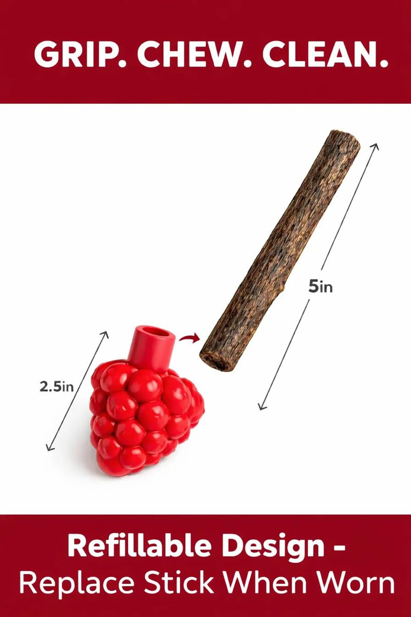 Cat Dental Teether Toy with Silvervine Chew Stick - Rubber Berry Holder with Catnip Oil Infused Matatabi Stick for Teeth Cleaning - Kitten Teething Toy for Indoor Cats (1 Teether + 1 Stick) 1 Rubber Berry Teether, 1 Silvervine Chew Stick