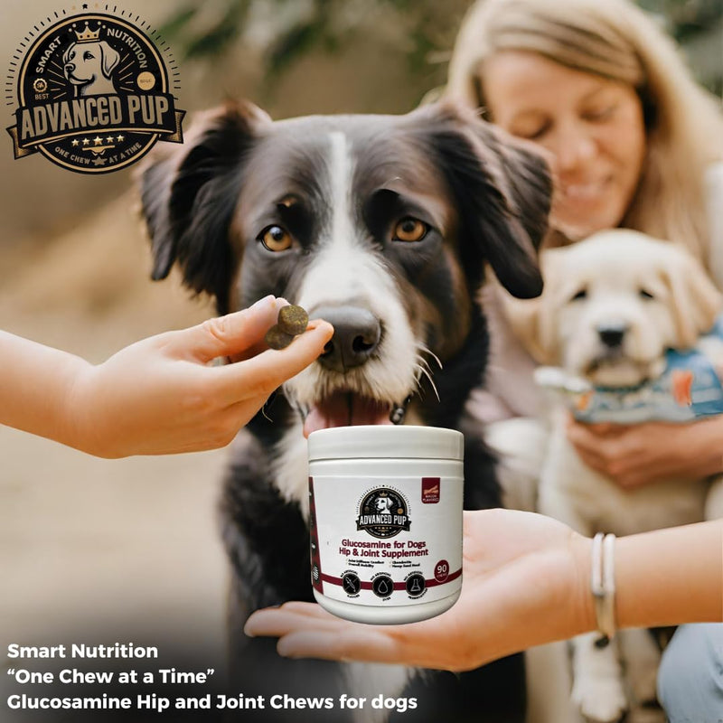 AdvancedPUP Dog Hip and Joint Supplement - Glucosamine for Dogs - Dog Hip & Joint Care with Chondroitin, MSM, & Turmeric for Dog Joint Relief - Regain Dog Mobility with Natural Tasty Bacon - 90 CT - PawsPlanet Australia