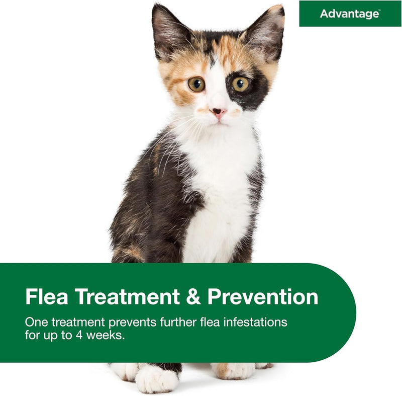 Bundle of Advantage Topical Cat Flea Treatment and Prevention for Small Cats 2-9 lbs. + Advantage Household Fogger for Home | 2 oz. Canisters (Pack of 3) Small Cat + Fogger