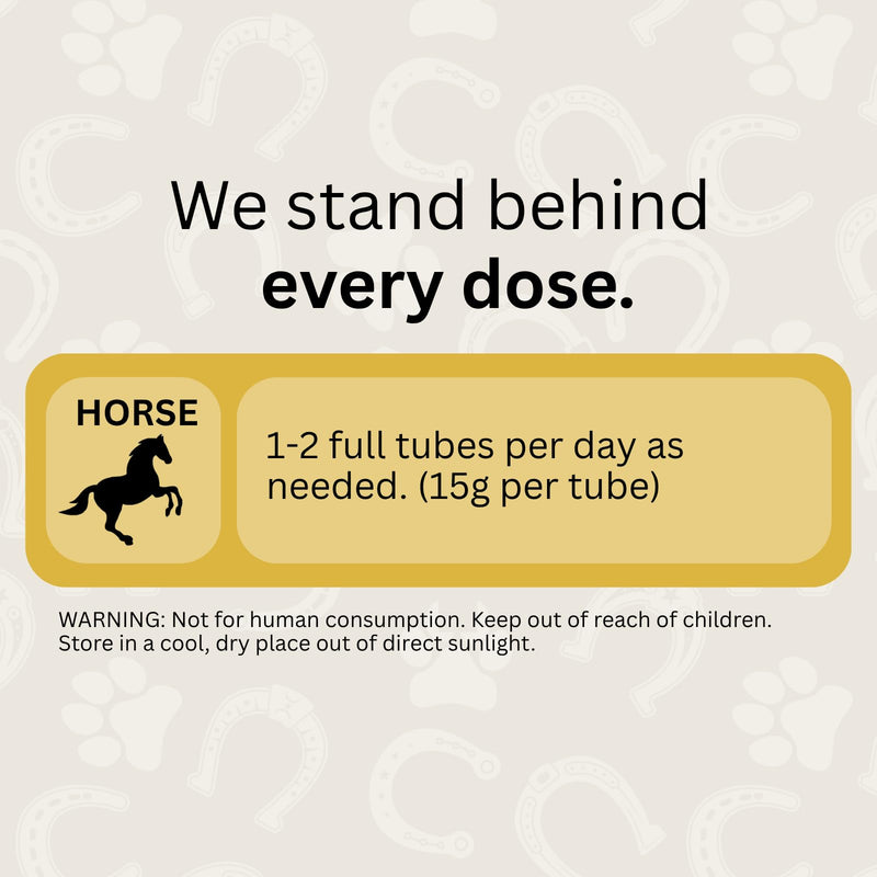 Horse Digestive Support System | Emergency & Daily GI Balance | Probiotic Prebiotic Formula | for Colic Gas Diarrhea & Stress | No Fillers No Sweeteners | ScoopRx USA Made |Paste 15ml (Pack of 1) Pack of 1 GI Rescue Paste